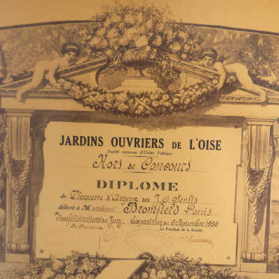 Framed Certificate