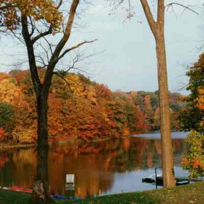 Fall Color At Mount Gilead Lake