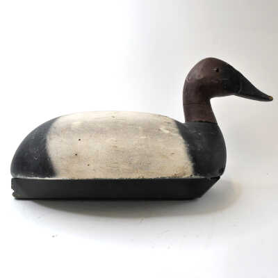 Decoy, Canvasback (Drake)