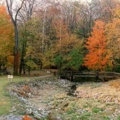 Spillway And Footbridge In Autumn