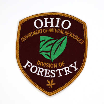Division of Forestry (mid-1990s to 2012)