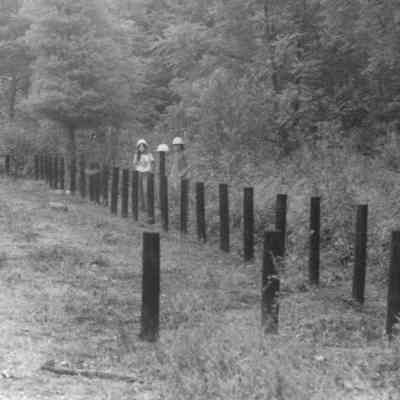 Youth CCC Workers Building Fence