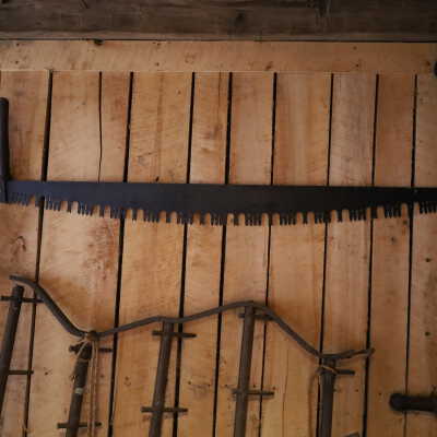 Crosscut Saw