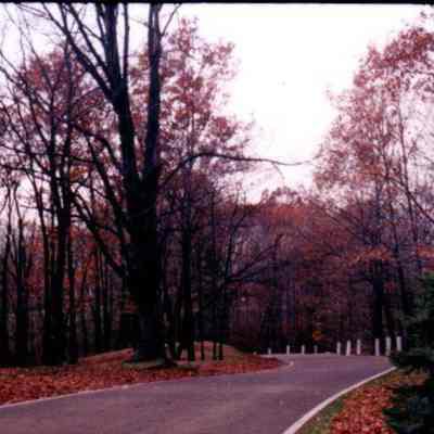 Late Autumn Roadway