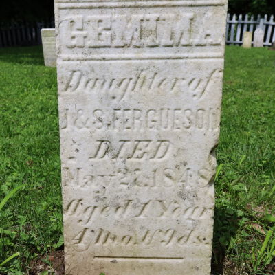 Gemima Fergueson