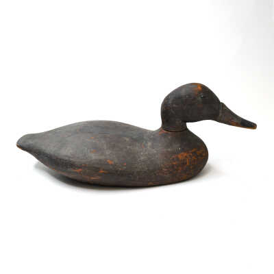 Decoy, Black Duck