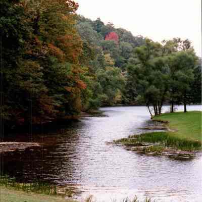Early Fall Color