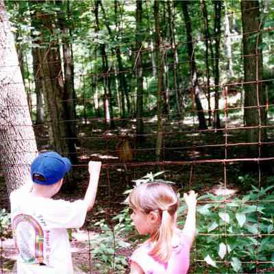 Through The Fence