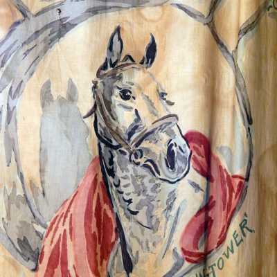 Painted Curtains, James Reynolds