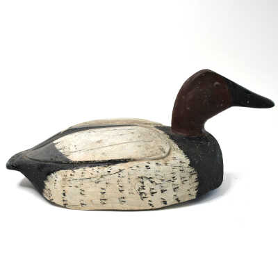 Decoy, Canvasback, Jack Rider