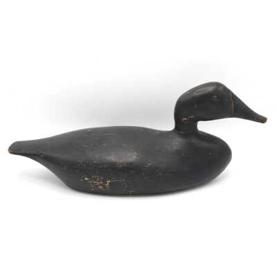 Decoy, American Black Duck