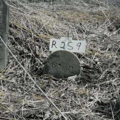 Row 2 - Headstone 9