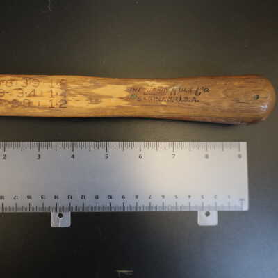 Tree & Log Measuring Stick