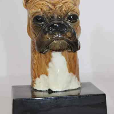 Boxer Bookends