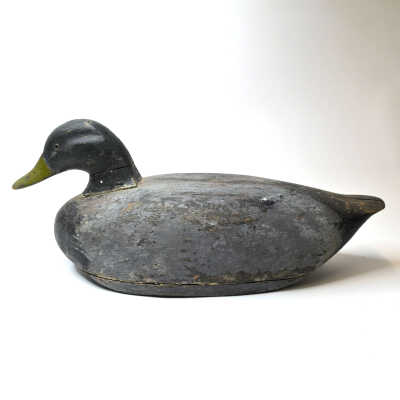 Decoy, Mallard (Drake)