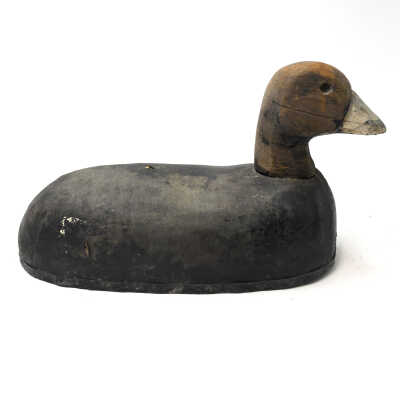 Decoy, Coot, Herter's