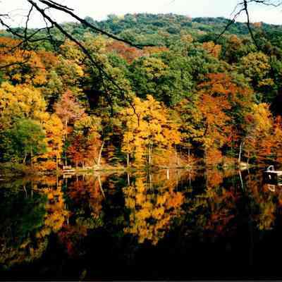 Reflection On The Water