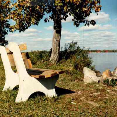 Lakeside Bench