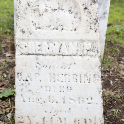 Sherman P. Herring
