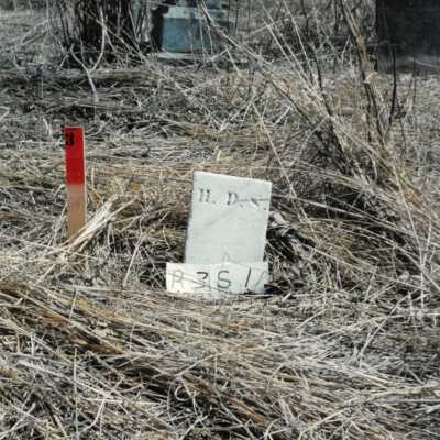 Row 3 - Headstone 1