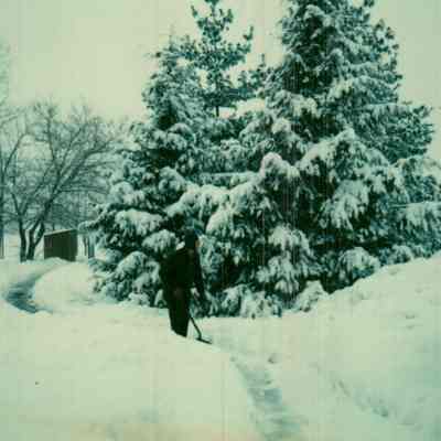 Shoveling Snow