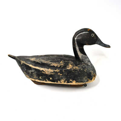 Decoy, Pintail (Drake), William Enright