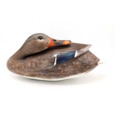Decoy, Mallard (Hen), James Pooley