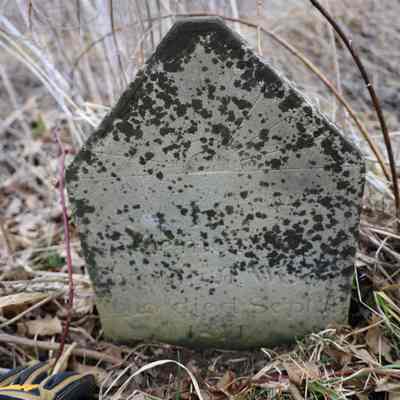 Cyntha Wood (ca.1815 - 1821)