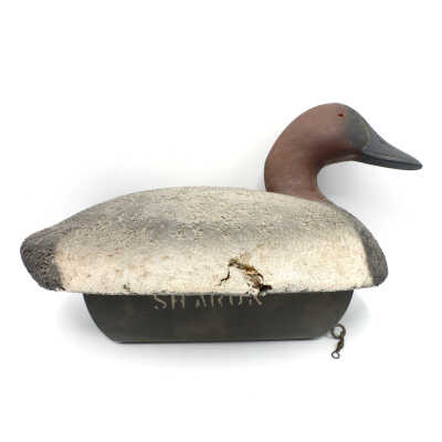 Decoy, Canvasback, John Sharon