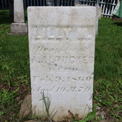 Lilly M. Tucker
