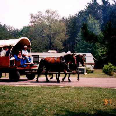 Horse-Drawn Wagon