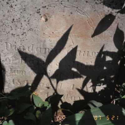 Diadama Jaynes (ca.1843 - 1847)