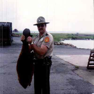 Beaver