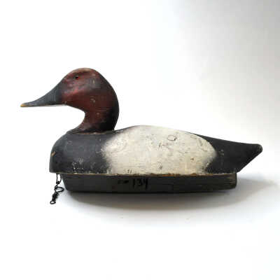 Decoy, Canvasback (Drake)