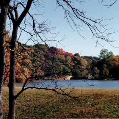 Autumn Of 1994