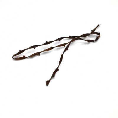 Barbed Wire