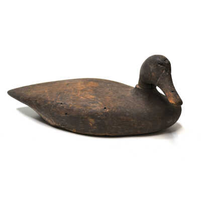 Decoy, Mallard