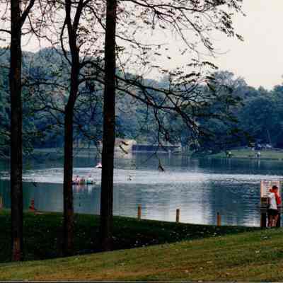 Peddle Boats On The Lake