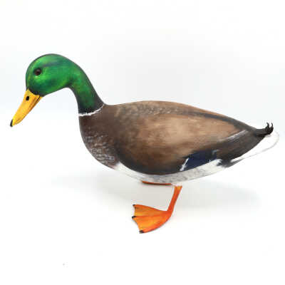 Decoy, Mallard (Drake), James Pooley