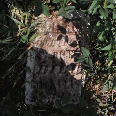 Delilah Bigelow (ca.1850 - 1854)