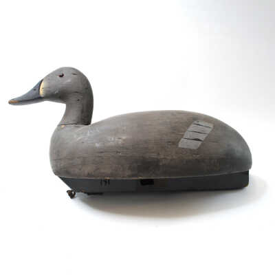 Decoy, Canvasback (Hen)