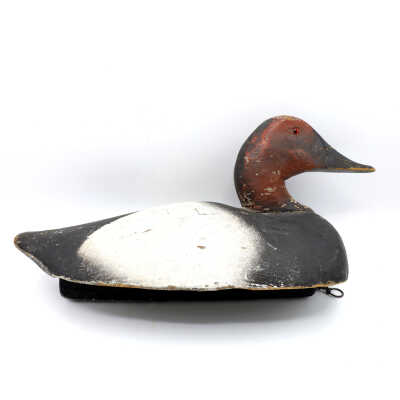 Decoy, Canvasback (Drake)