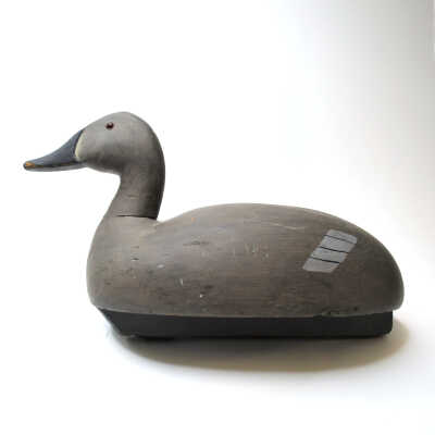 Decoy, Canvasback (Hen)