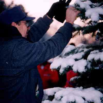 Placing An Ornament
