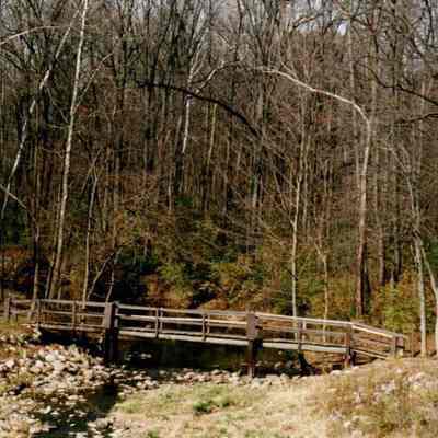 Late Autumn Footbridge