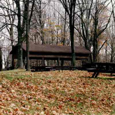 Autumn Picnic Shelter