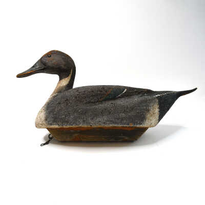 Decoy, Pintail (Drake), William Enright