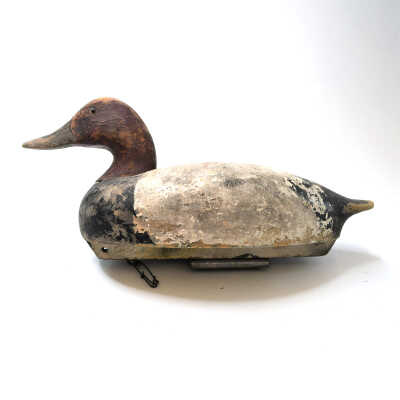Decoy, Canvasback (Drake)