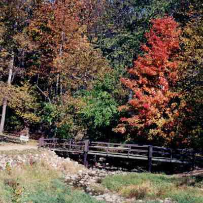 Autumn By The Footbridge