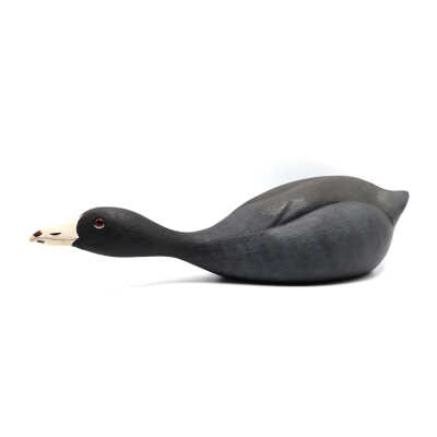 Decoy, Coot, Josef Wooster